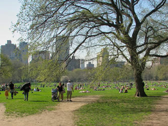 031 Central Park.jpg