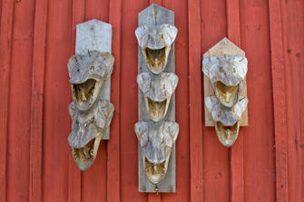 029-Sweden.jpg