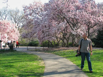 053 Central Park.jpg
