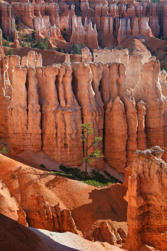 182 Bryce Canyon.jpg