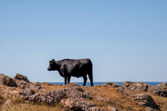 025-Denmark.jpg