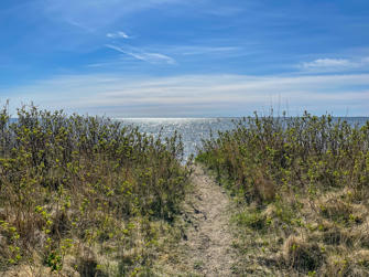 043-Denmark.jpg